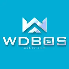 WDBOS - Tantangan Puzzle Seru yang Mengasyikkan